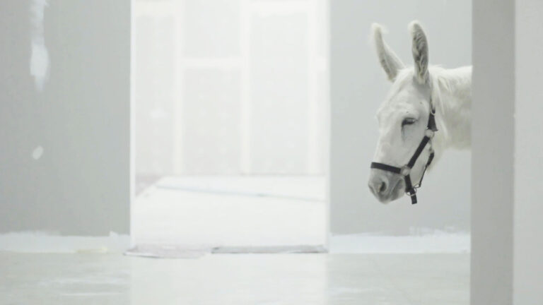 Valentina Furian, Presente, 2018, video installation, film frame, courtesy the artist